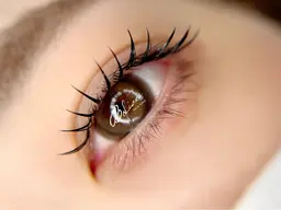 【お年玉クーポン！】韓国風束感仕上げマッフルラップ/ 140束まで