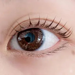 🫧パリジェンヌorまつ毛パーマ🫧