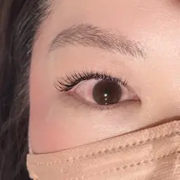 【 美眉WAX＋マツエク 】眉毛アイブロウWAX🌱＋フラットラッシュ100本まで🌙