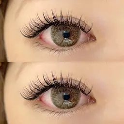 フラットラッシュつけ放題(160本以上200本まで)