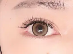 バインドロック80束