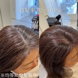 【白髪ぼかし講習モデル】ハイライト+白髪ぼかしの講習のモデル様を探してます。条件日時は下記の補足にてご覧ください！