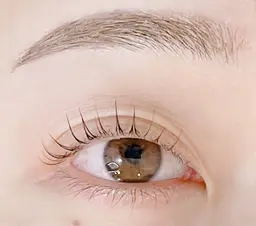 美眉スタイリング(Wax脱毛)【4/5（日）9:00.10:30のみ】