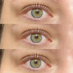 ⌇パリジェンヌ上🌙⌇根元からぱっちり❕✨仕上げコーティング付🪄︎︎