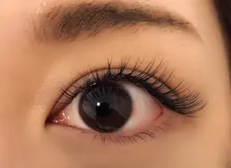 【再来】＊最高級セーブル140本コース＊【付け足しOK・オフ無料】フラットラッシュ+1100円