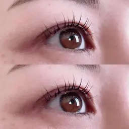 まつ毛パーマ(ブラックカラートリートメント付き)