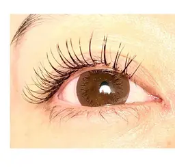 minimo限定フラットマットラッシュ100本🤎オフ•コーティング付き