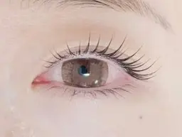 セーブルつけ放題　オフ・コーティング込