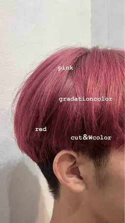 『‼️新規限定‼️』｢ケアブリーチ使用」Wcolor＋クイックトリートメント