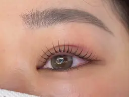 🧸ིྀ似合わせアイブロウWAX🧸ིྀ+🫧ྀི選べるまつ毛パーマ コーティング仕上げ付き🫧ྀི