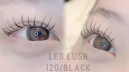 🌸LEDエクステ　つけ放題🌸¥8000