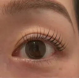 【minimo限定価格】パリジェンヌラッシュリフト