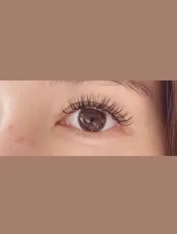 バインドロック80束