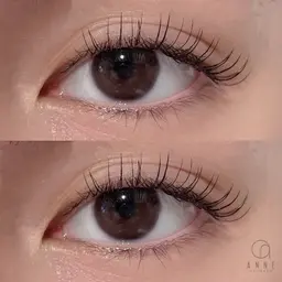 高級セーブル120本