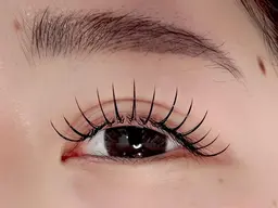 1月19日限定🎀マツエクつけ放題レッスンモデル🎀