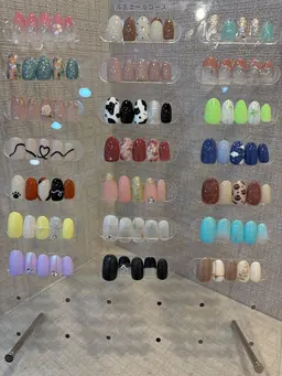 【オフあり】定額ルミエールコース