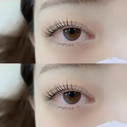 2回目以降の方🤍パリジェンヌラッシュリフト上下+トリートメント+コーティング