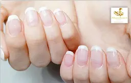 クリアデザイン10本