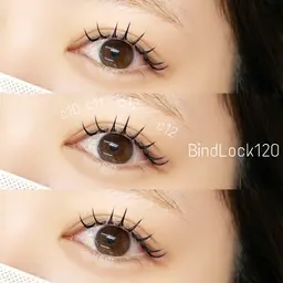 🎍1月限定価格🎍バインドロック120束￥11,550