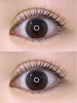 まつげパーマ(上) パリジェンヌorラッシュリフト