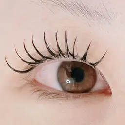 無料💞2月25日限定モデル募集💞フラットラッシュ140本  U-30