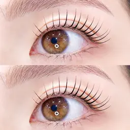 【1月限定特別価格⸜❄️⸝⛄️】パリジェンヌラッシュリフト👀(美容液仕上げ)