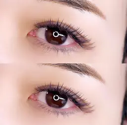 【ボリュームラッシュ】80束(240​〜​350本)🌿オフ・美容液入りコーティング込み