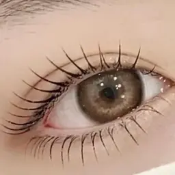 パリジェンヌラッシュリフト【上下セット】★¥8980