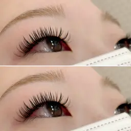 【オフ込】バインドロック80束