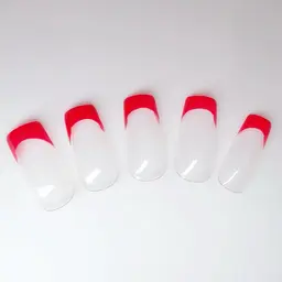 【ずっとオフ無料🎶】フレンチ