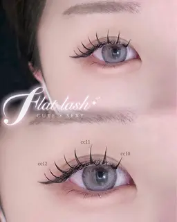 【当日限定🎀詳細を必ずご確認ください】フラットラッシュ　80本