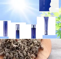 【美巡り よもぎ蒸し＆ルミナ 透明感リセット】よもぎ蒸し(40分)＋新商品美白ブランドを全5種使用したフェイシャル