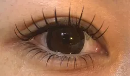 🫧最高級フラットラッシュ40本¥4,200→¥3,200【他店リペア可/オフ可/ミニモ限定特別価格🕊️】