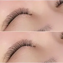 3Dラッシュ 140束 (LED変更ok)✨ゴージャス仕上げ💎