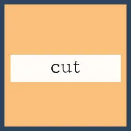 🥕似合わせカット+シャンプー