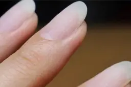 チップ&スカルプ長さだしオフ~2300円