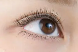 🌼3Dボリュームラッシュ&フラットラッシュMIX100束まで《オフ込み》