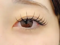 ✨バインドロック80束(お仕上げコーティング付き)✨