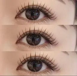 フラットラッシュ 100本+下20本