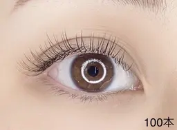 平日限定【新規100本オフ無料】セーブル/フラットラッシュ¥4400