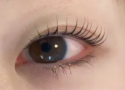 ミニモ限定！ラッシュリフト