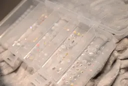 【体質サポート】耳つぼジュエリー