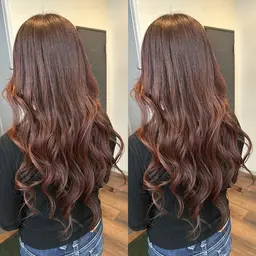 ブリーチなしワンカラー　　　　　　　　　　　　　　　　エスタブリッシュシャンプートリートメント