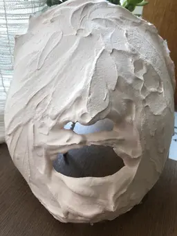 スペシャル石膏パックエステ