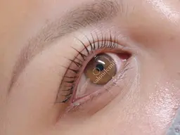 下まつげつけ放題(練習モデル)¥1980