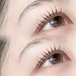 【セット割】ラッシュリフト / パリジェンヌ ＋ アイブロウWAX✨