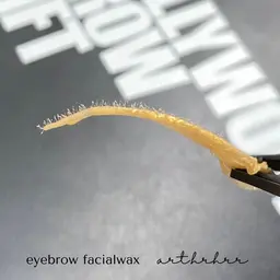 45日以内のリピーター様限定⛓️🩶  WAXのみでの眉のメンテナンス෴෴