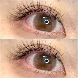 【ご新規様♪】フラット/セーブル（選べる）80本　￥4200