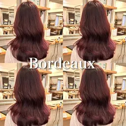 【新宿エリア限定🗼】カット+ブリーチなしダブルカラー+システムトリートメント