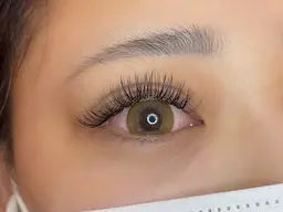 【脅威的持続力】バインドロック80束240本￥8880